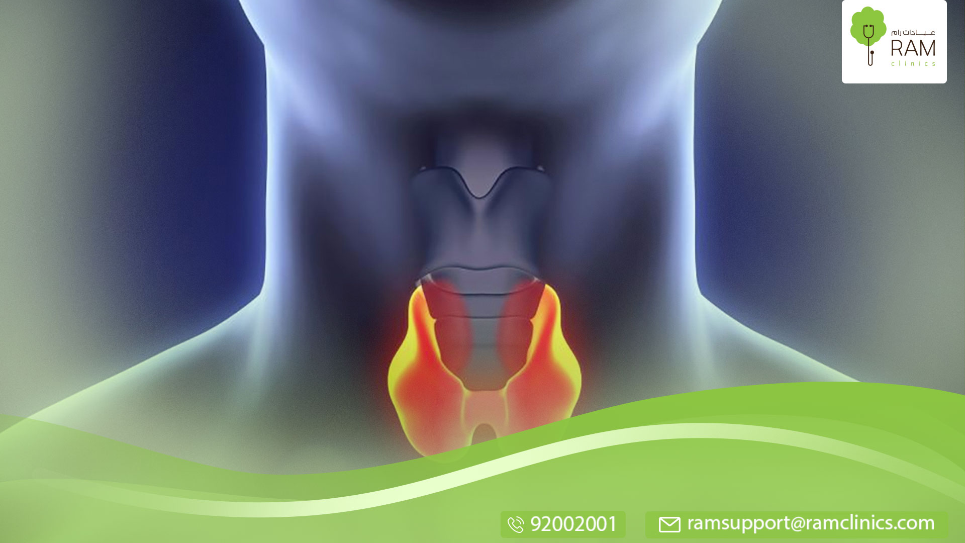 معلومات عن الغدة الدرقية